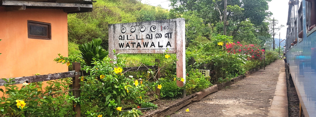 Watawala Railway Station