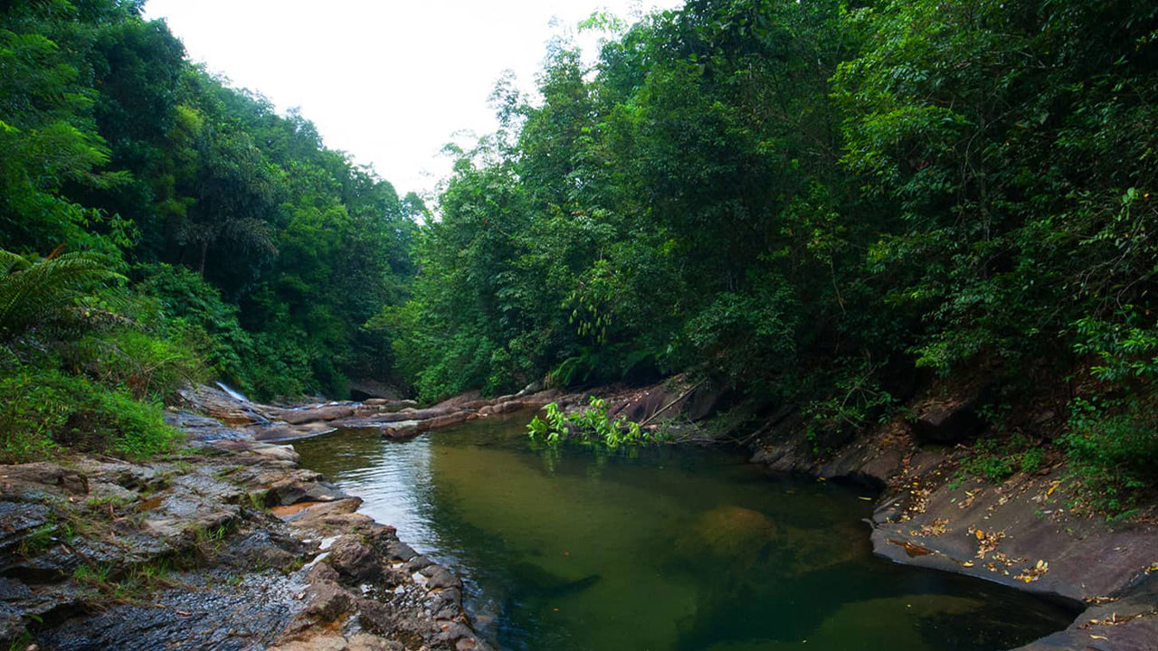 Kitulgala Accommodations