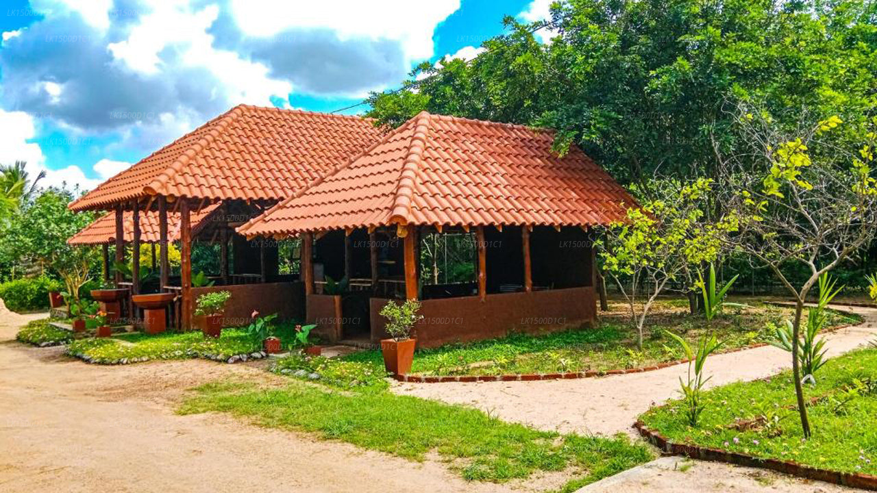 Ceylon Amigos Eco Resort, Sigiriya