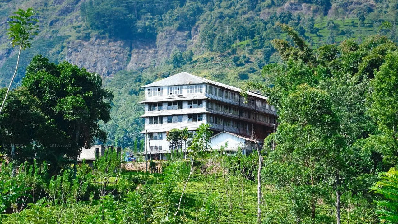 Heritage Pussellawa, Nuwara Eliya