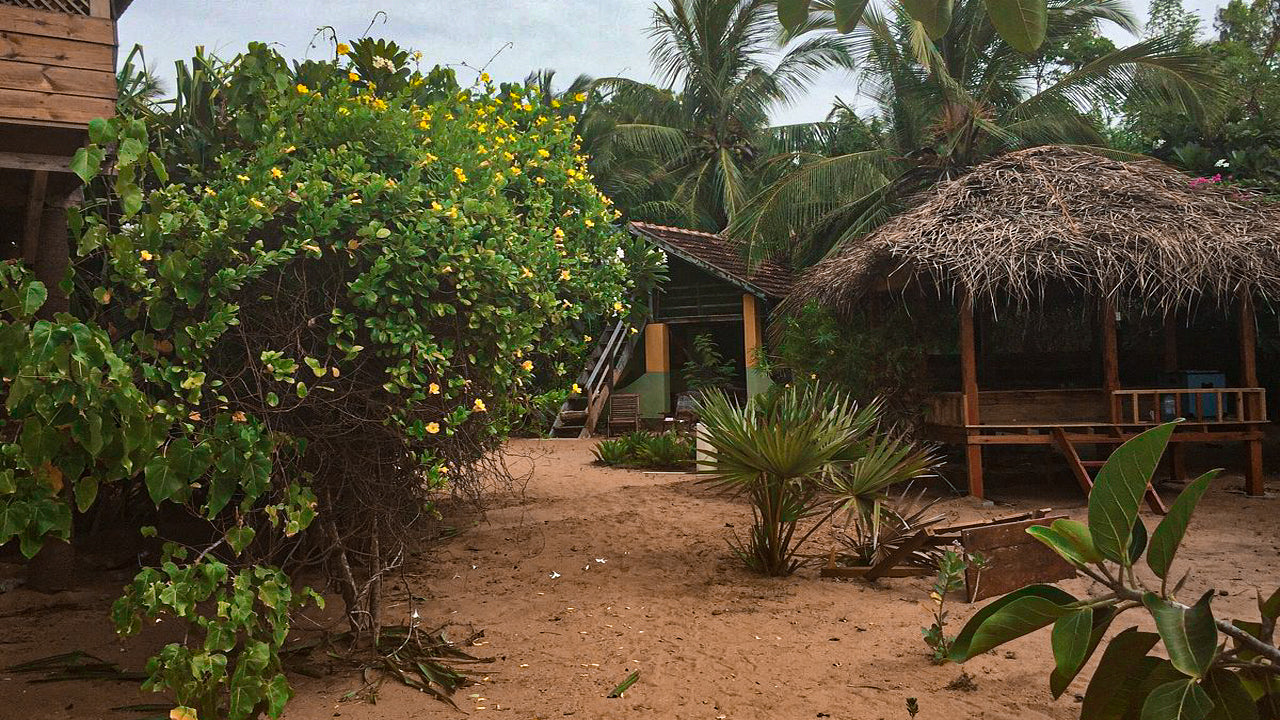 Aloha Cabanas, Arugam Bay