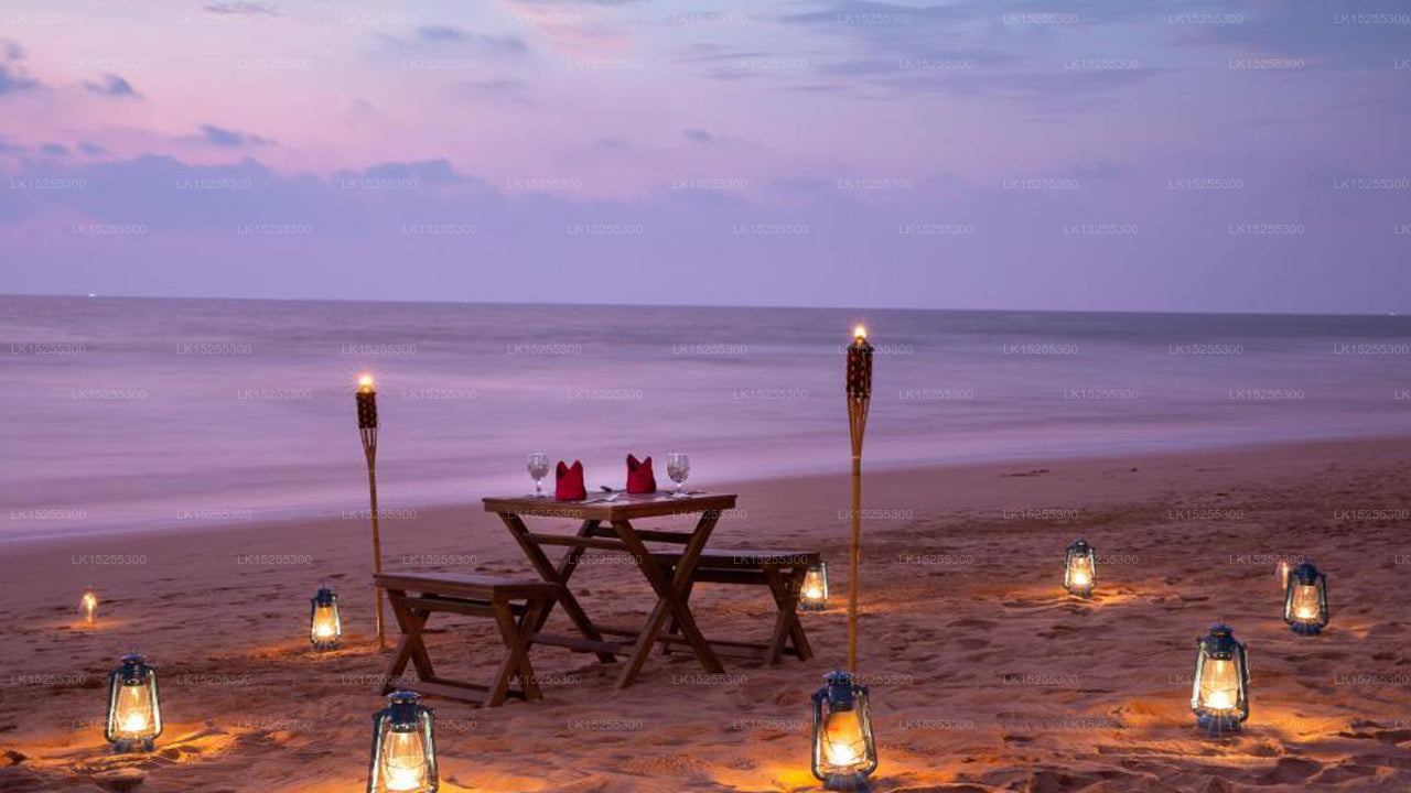 Palm Beach Inn & Sea Shells Cabanas, A2, Bentota