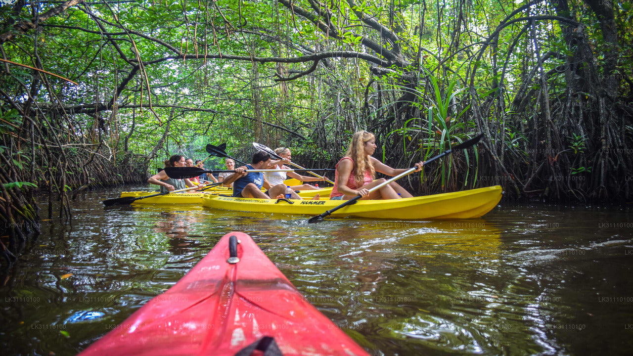 Kayaking from Galle