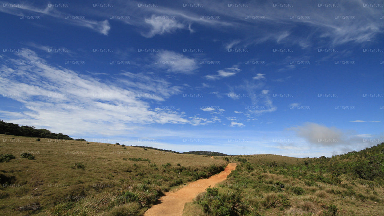 Horton Plains National Park Entrance Ticket