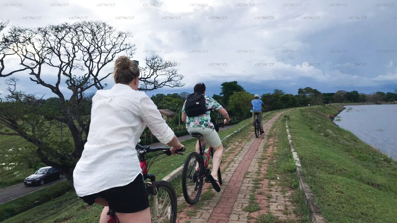 Cycling from Anuradhapura