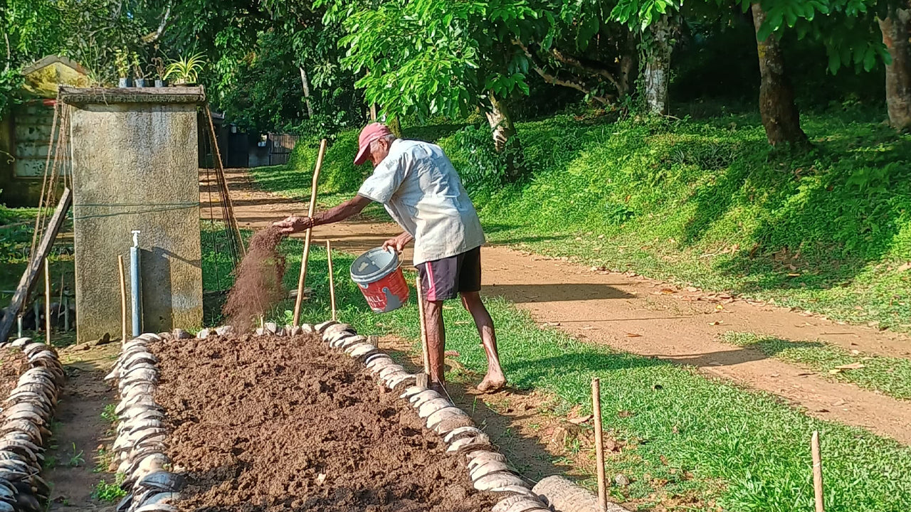 Discover Biodiversity at Midigama Fruit Farm