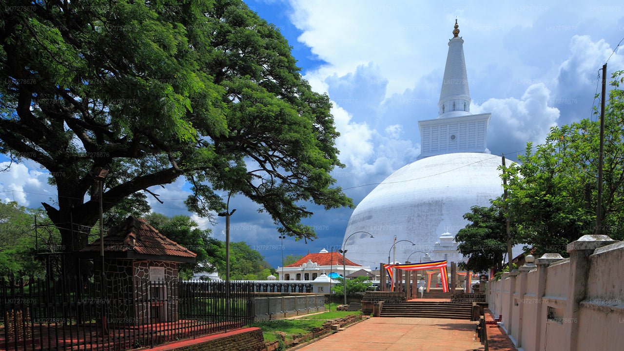 Anuradhapura and Mihintale from Dambulla