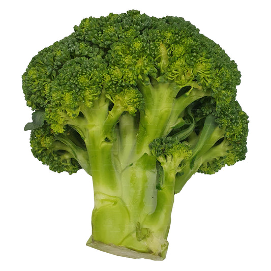 Broccoli