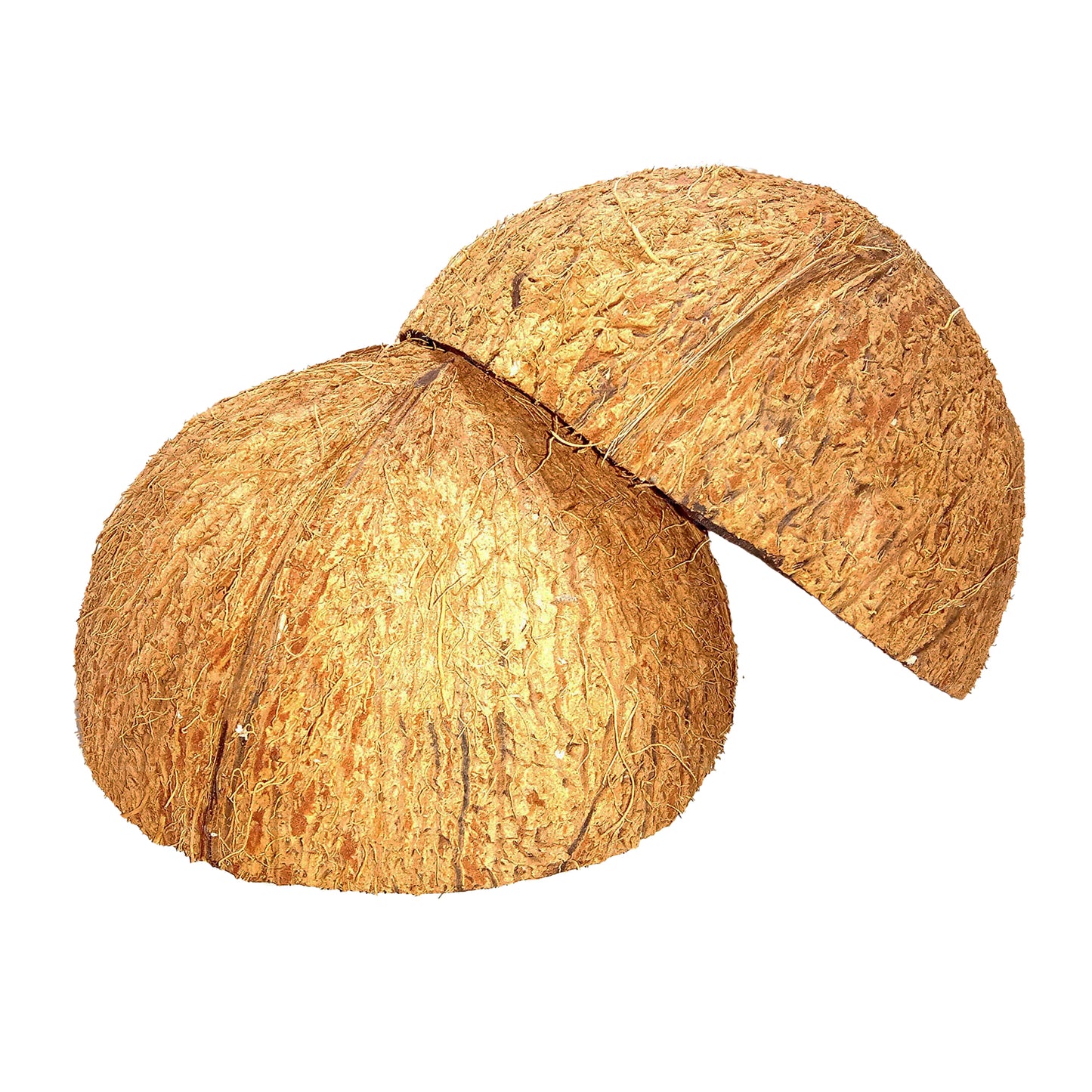 Lakpura Coconut Shell Halves