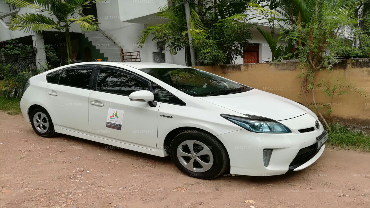 Yala City to Mirissa City Private Transfer