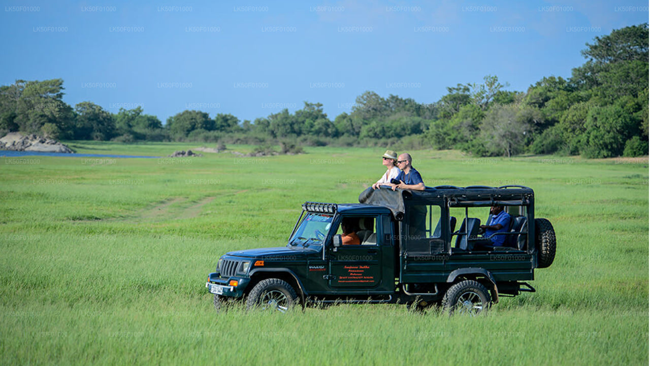 Wilpattu National Park Safari with Naturalist