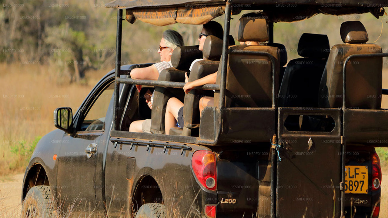 Wilpattu National Park Safari with Naturalist