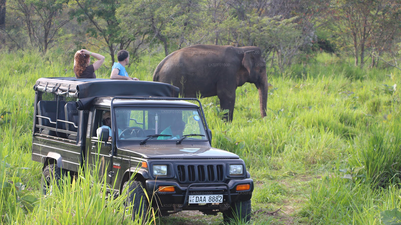 Wilpattu National Park Safari with Naturalist