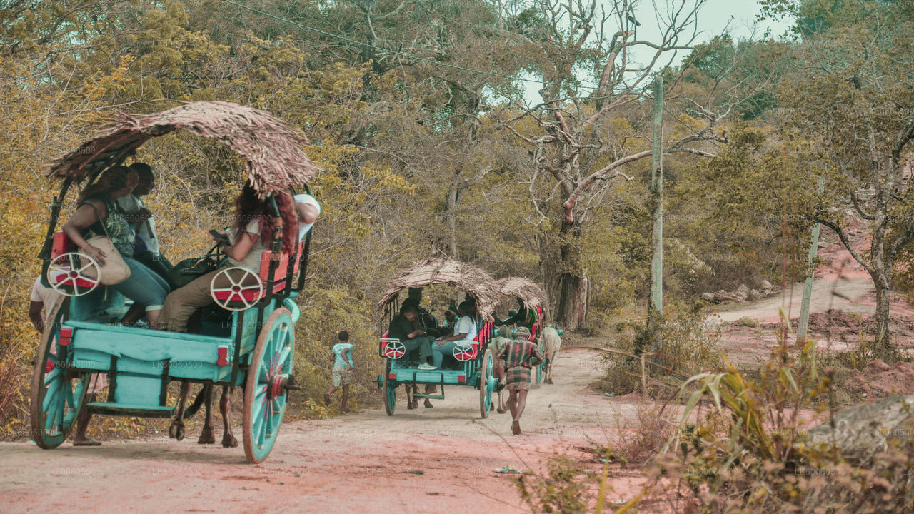 Hiriwadunna Village Tour from Habarana