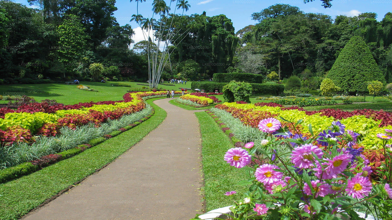 Kandy City Tour from Bentota