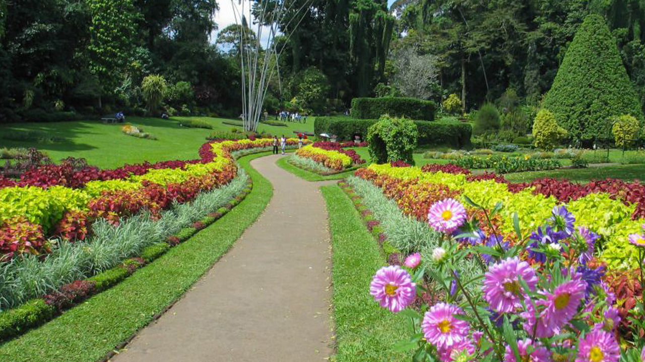 Pinnawala and Kandy Tour from Colombo