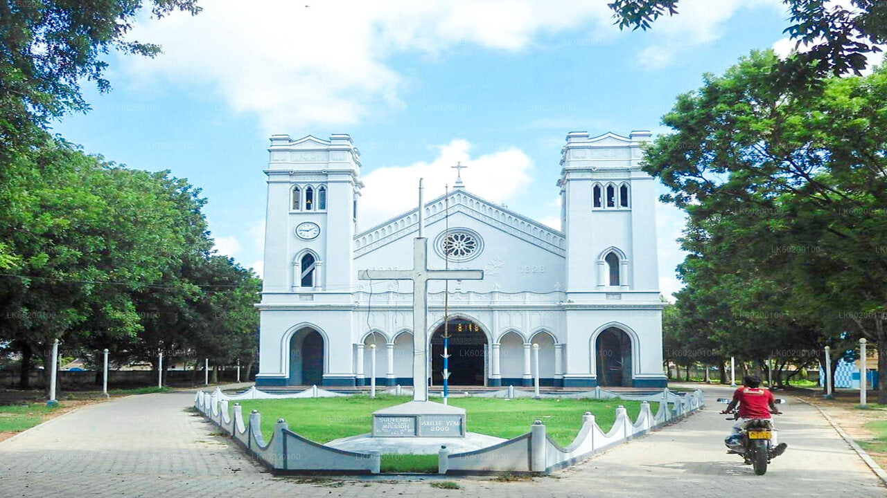 Jaffna City Tour and Nagadeepa Island from Jaffna