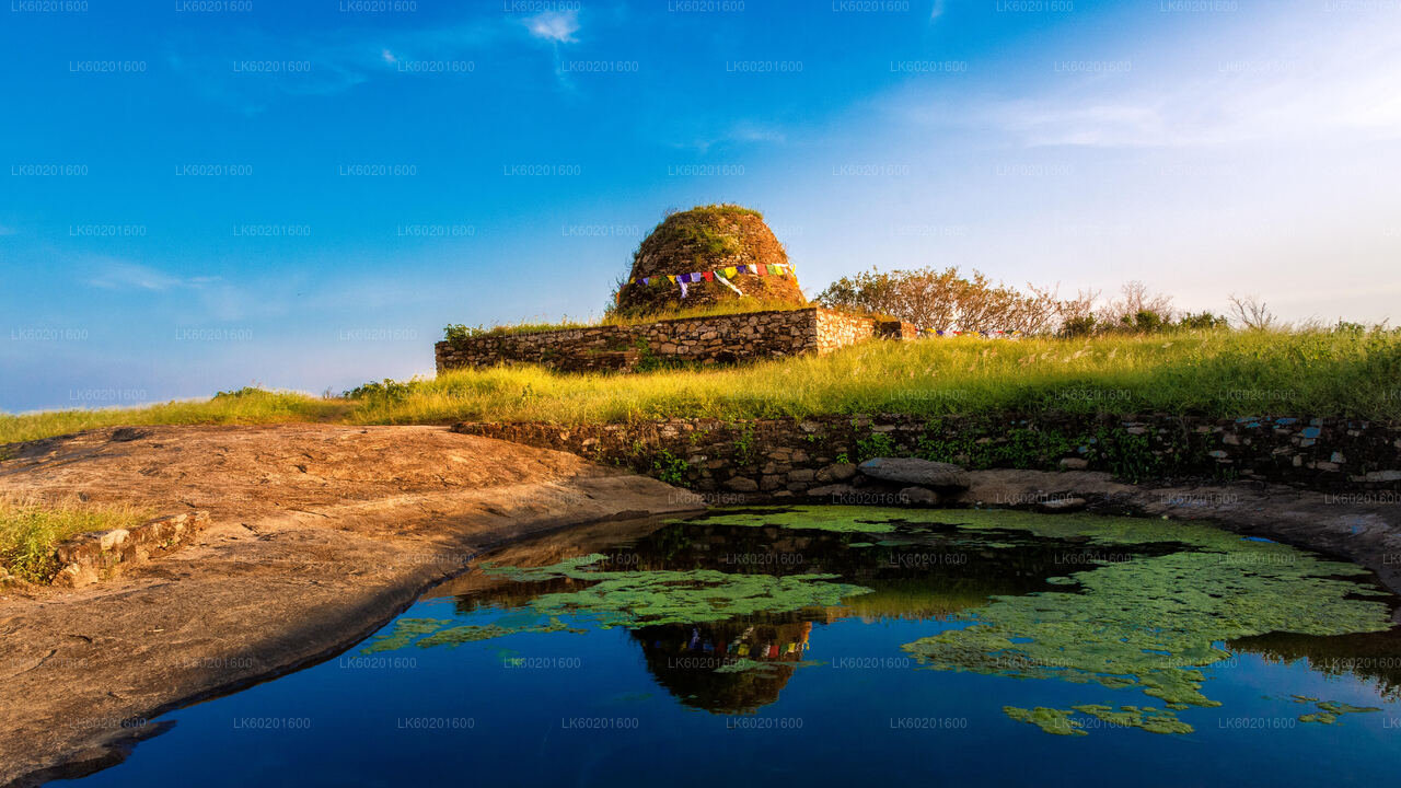 Yapahuwa Ancient Kingdom from Sigiriya