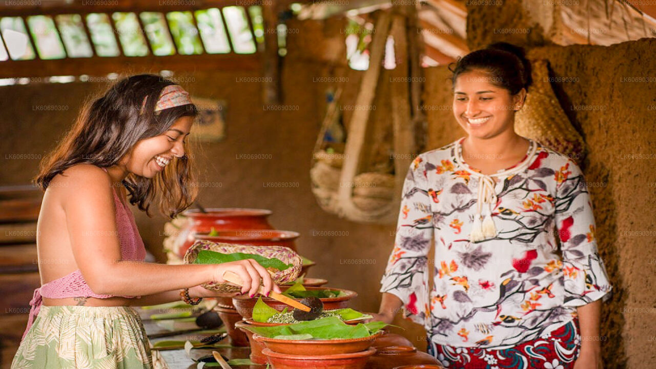 Waterfall Hike and Village Experience from Mahiyanganaya