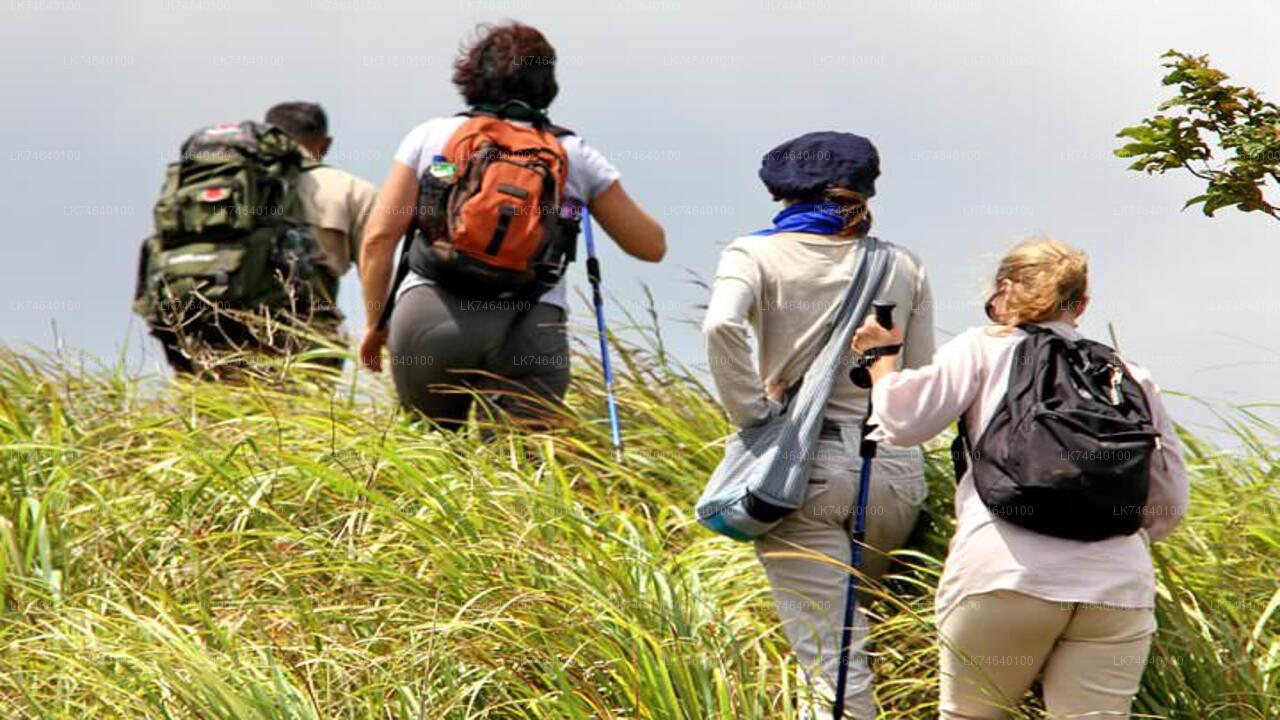 Hike to Bible Rock from Kegalle