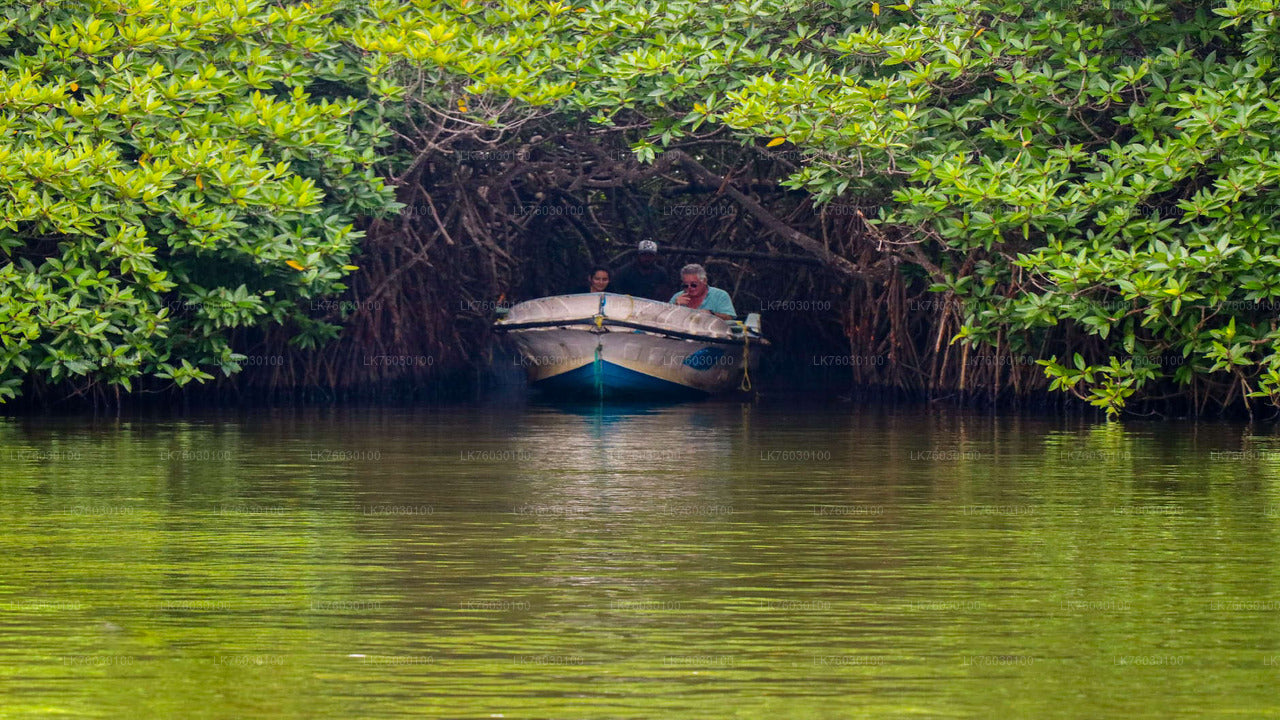 Madu River Boat Safari