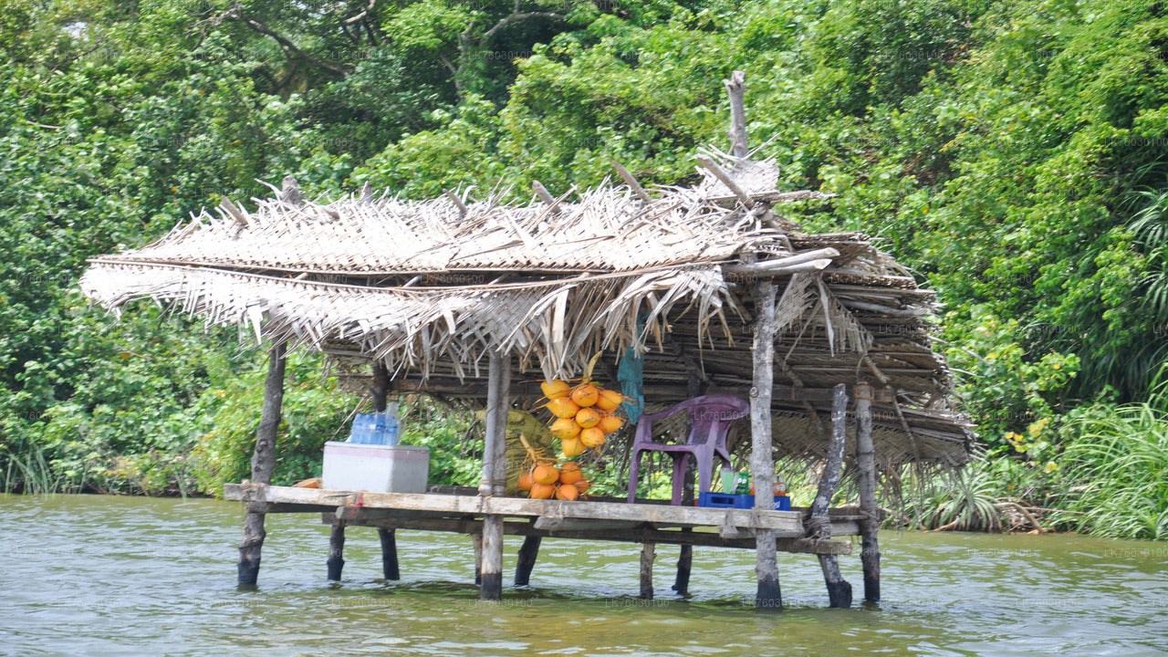 Madu River Boat Safari