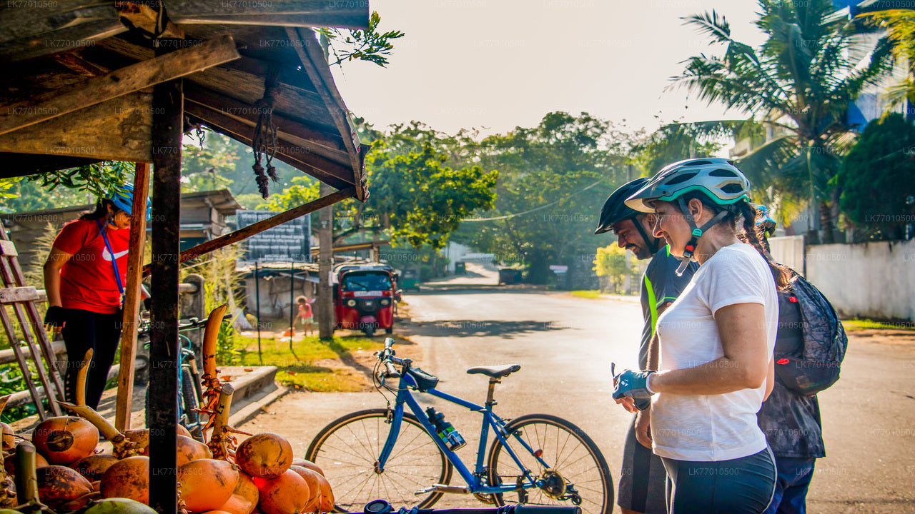 Kingdom Trail Cycling Tour from Colombo