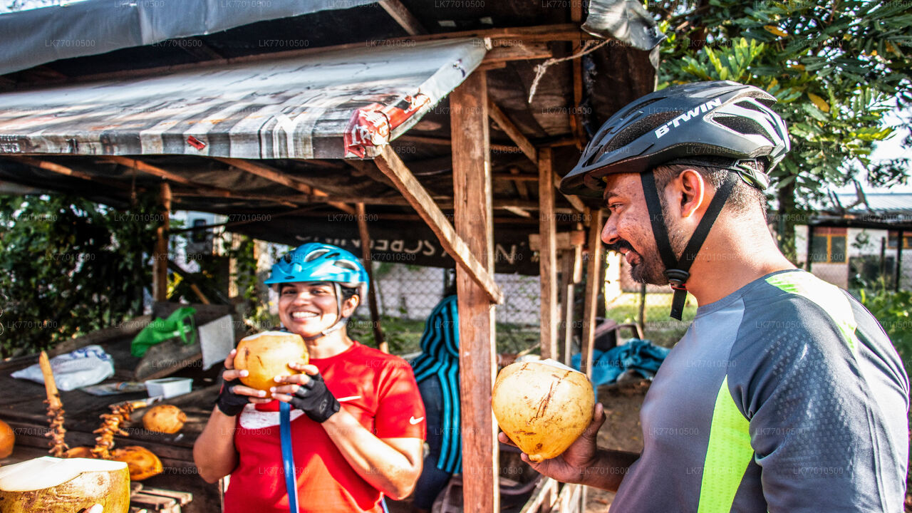 Kingdom Trail Cycling Tour from Colombo