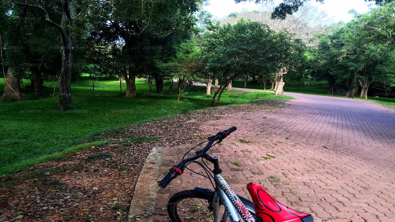 Cycling from Anuradhapura