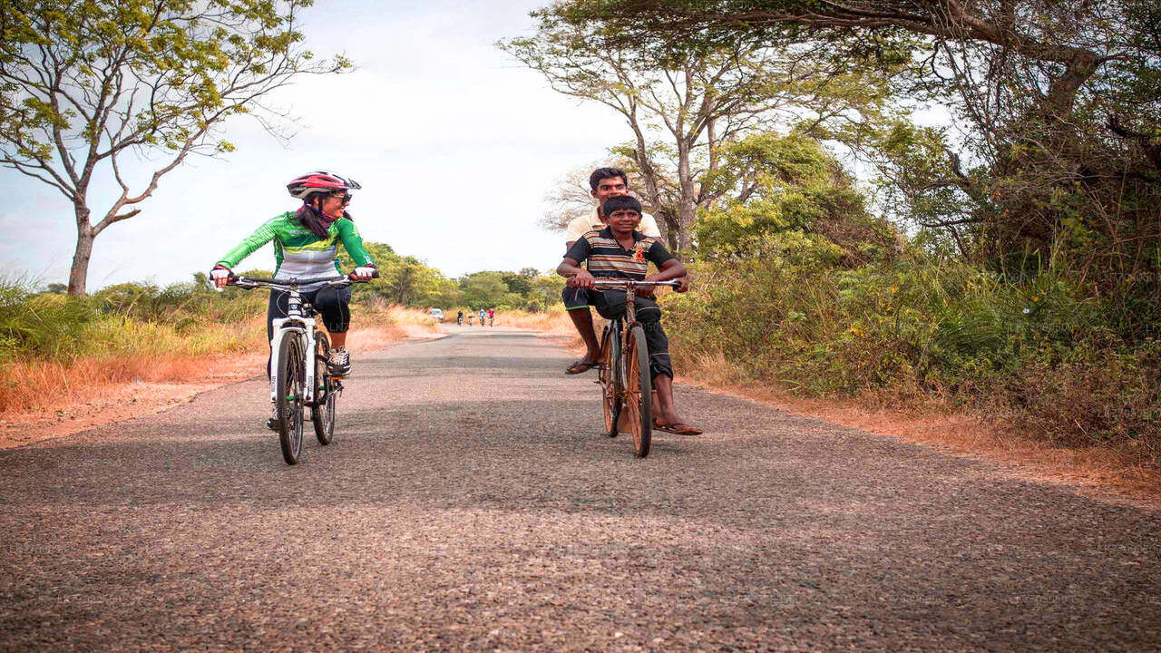 Ellawala Waterfall Cycling Tour from Ella