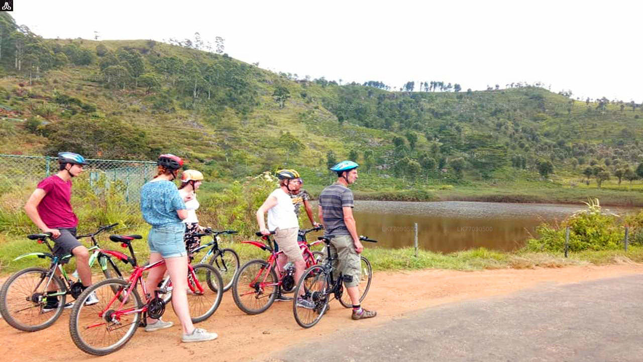 Ellawala Waterfall Cycling Tour from Ella