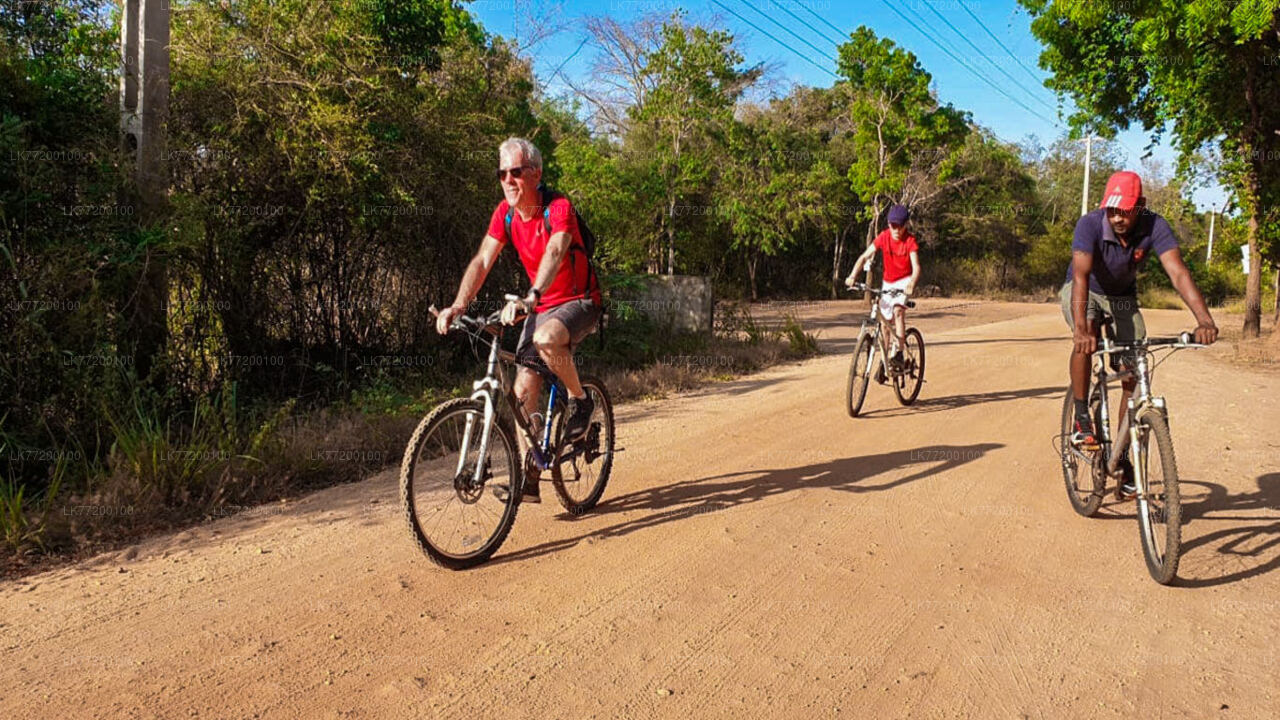 Countryside Cycling from Sigiriya