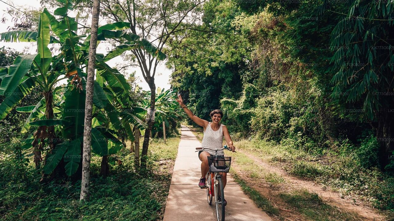 Padavigampola Village Cycling Tour with Cooking Demonstration from Pinnawala