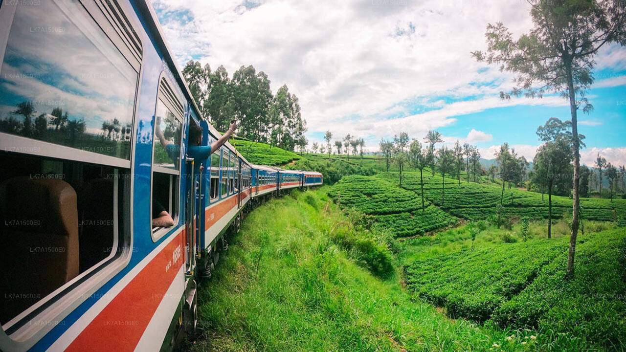 Colombo to Ella train ride on (Train No: 1001 "Denuwara Menike")